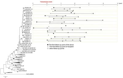 Optimization of genetic distance threshold for inferring the CRF01_AE molecular network based on next-generation sequencing